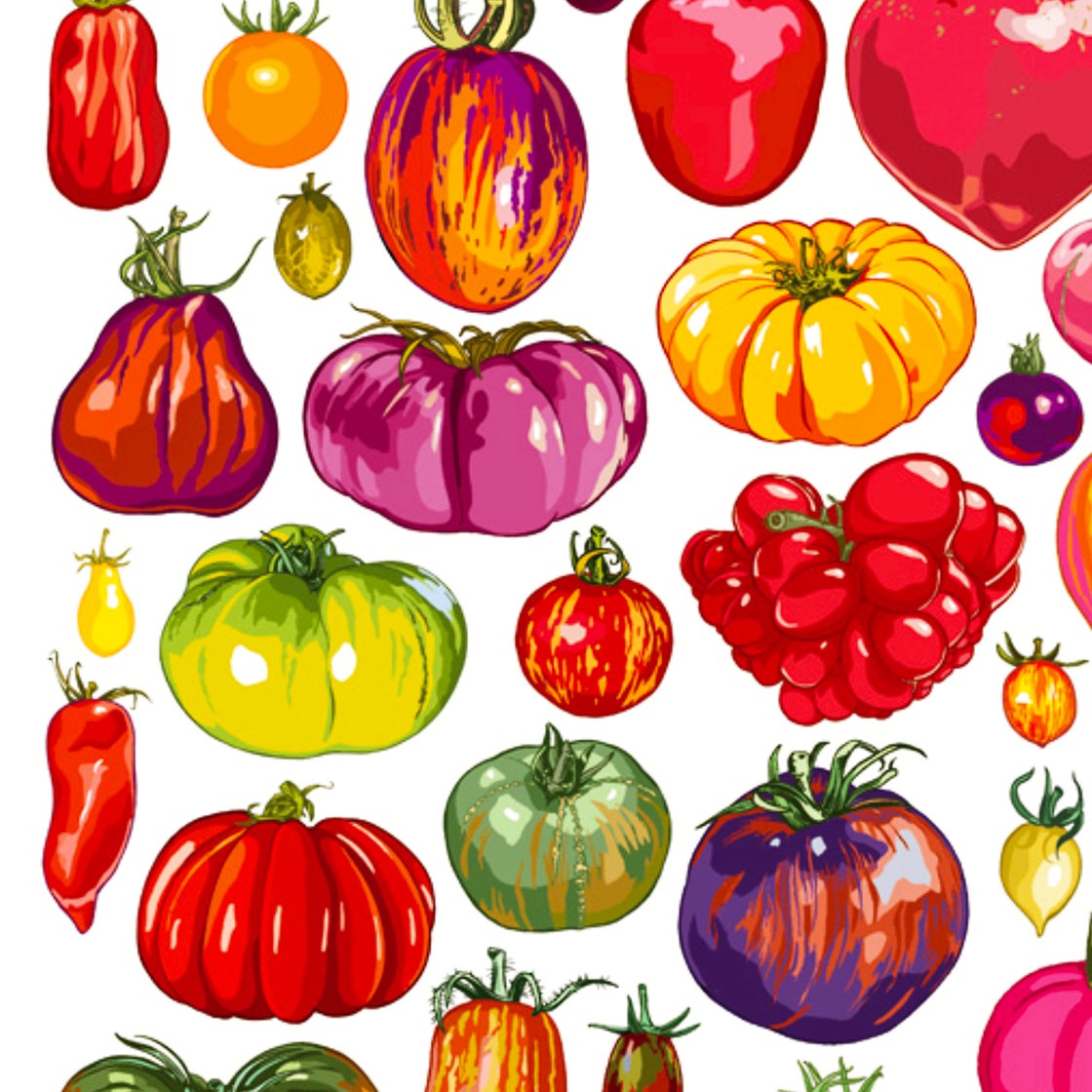 Ausschnitt des Tomaten-Plakat von Kat Menschik