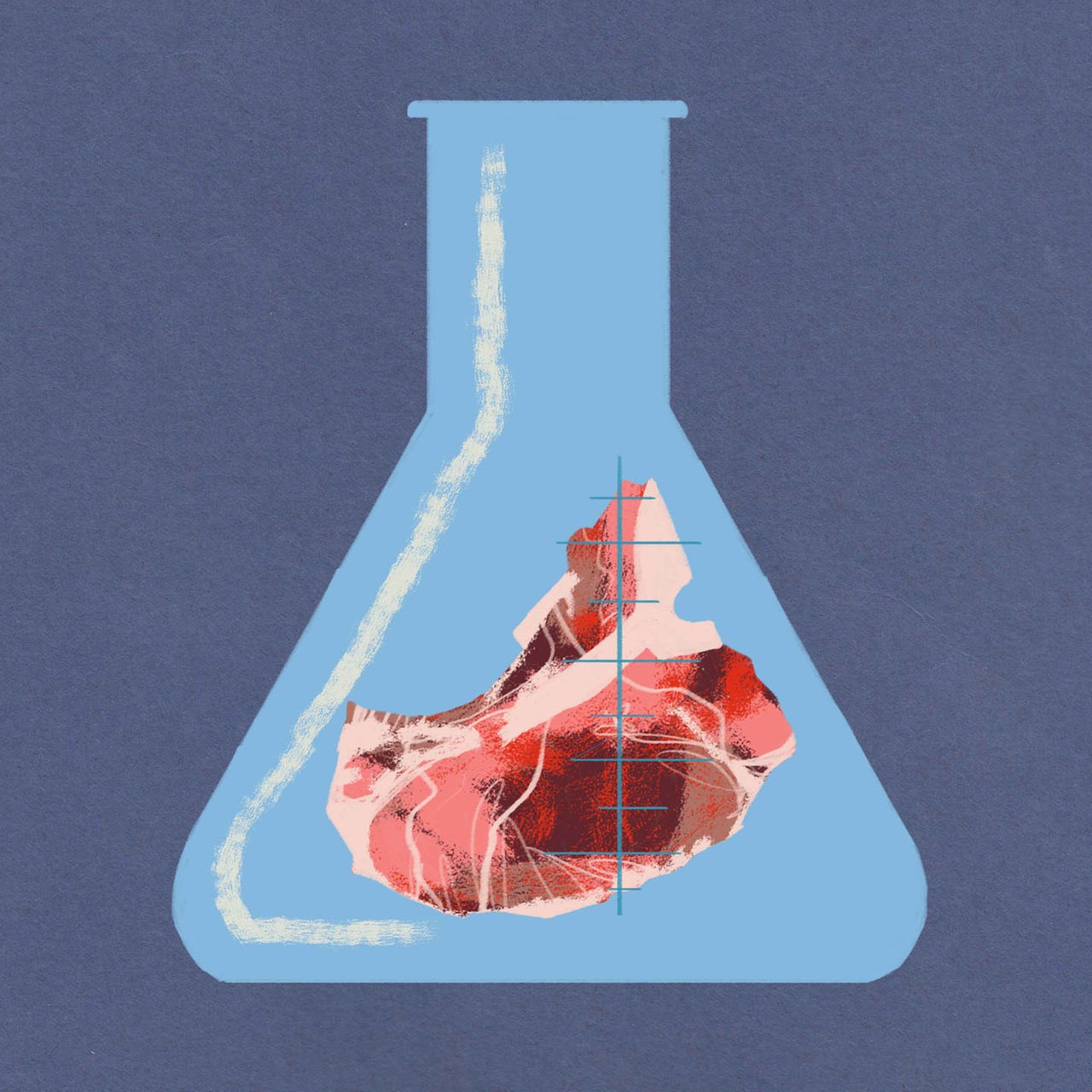 Zeichnung: Fleisch im Reagenzglas