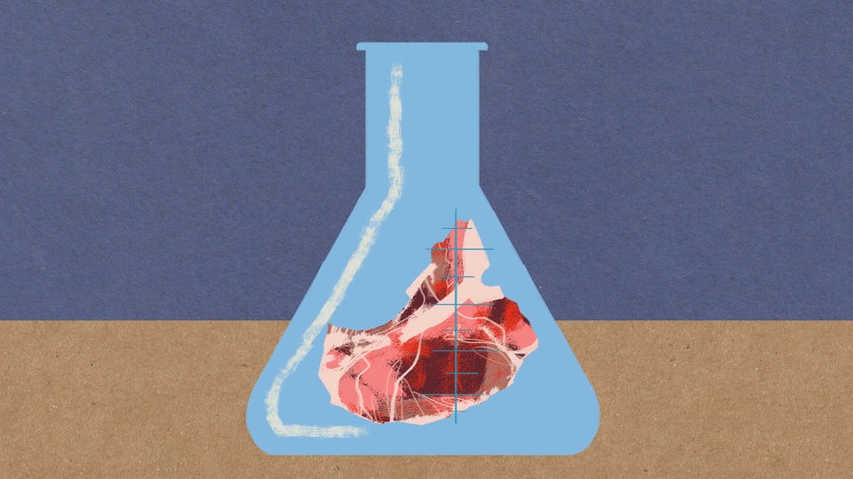 Zeichnung: Fleisch im Reagenzglas